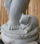 morepic-7